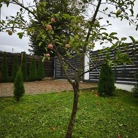 Gloria アパート Skhidnytsia